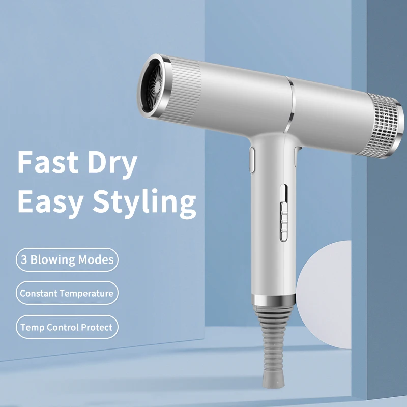 Powerful Anion Hair Dryer Hot Cold Wind Negative Ion Quick Dry Constant Temp Control 3Modes + Snowflake Button Blower Hair Dryer