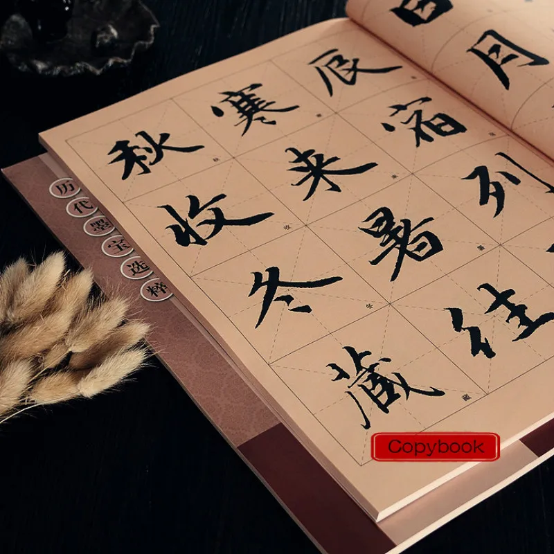 Copybooks Caligrafia Zhao Style Regular Script Copying Book Chinese The Thousand Character Classic Calligraphy Tutorial