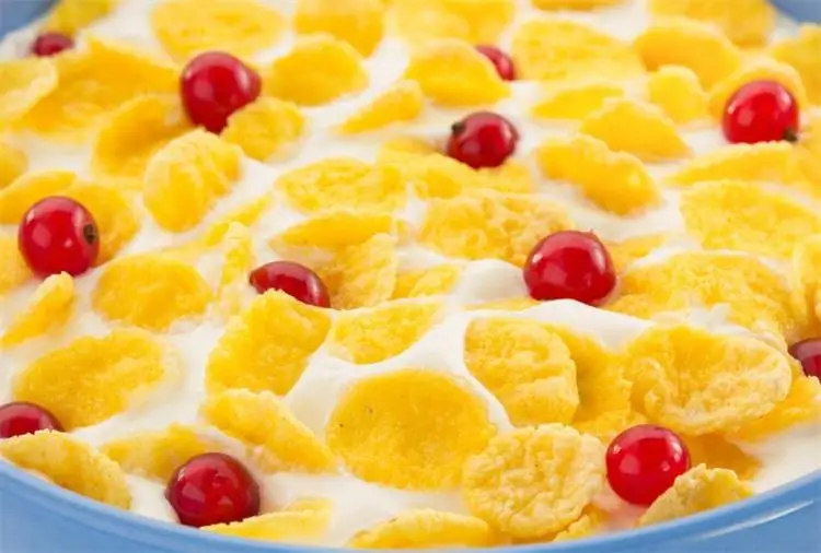 ماكينة صنع رقائق الذرة, خط معالجة رقائق الذرة