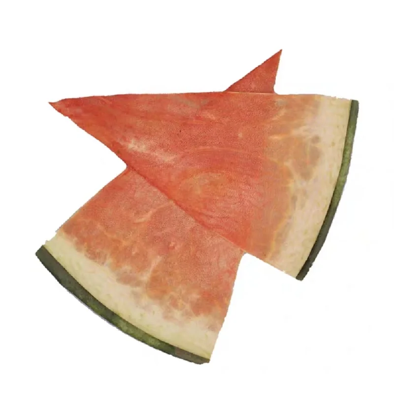 

10pcs Pressed Dried Watermelon Slices Fruit Plant Herbarium For Jewelry Postcard Invitation Card Phone Case Bookmark Making DIY