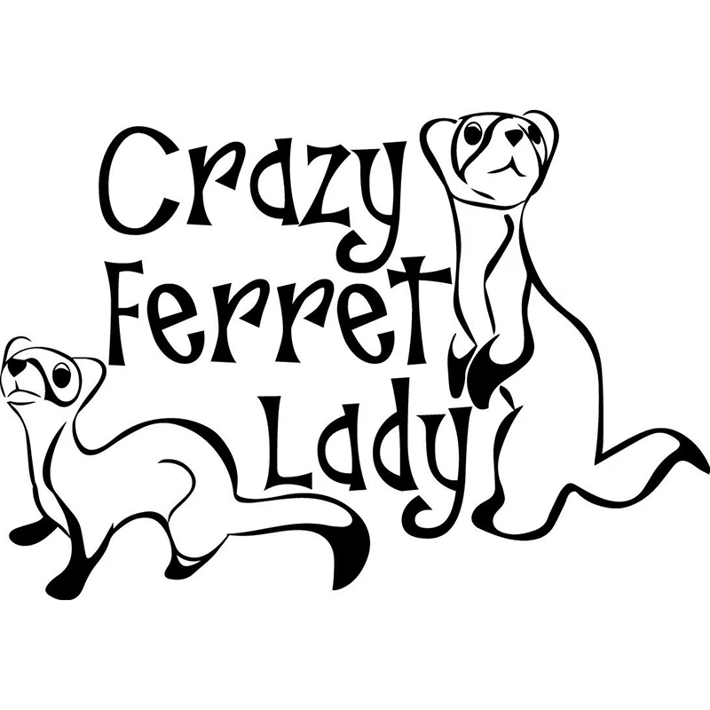 13.5*9.4cm Crazy Ferret Lady Decal Window Bumper Sticker Car Decor Pet Ferrets Love Furry Vinyl Hobby Car Bumper Sticker