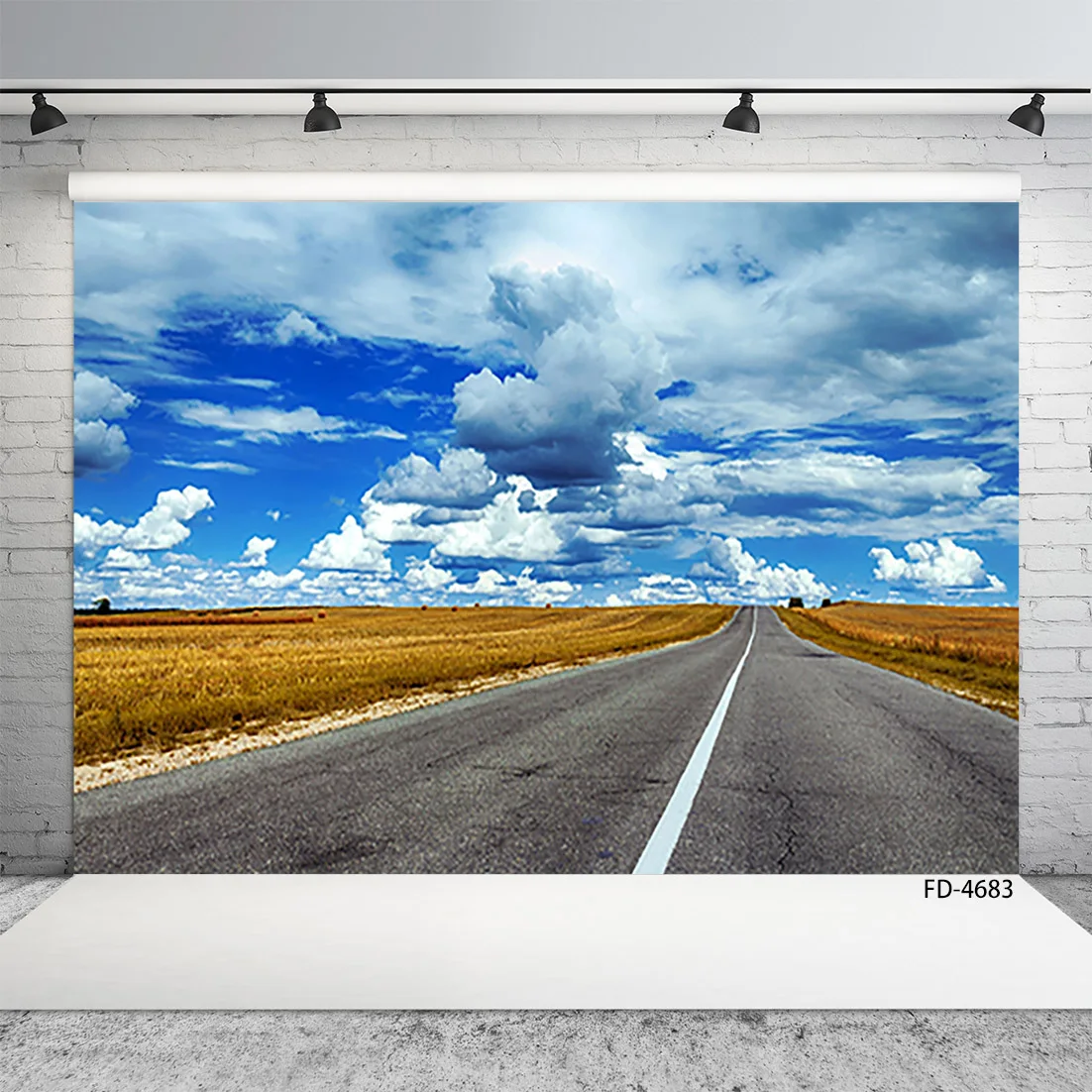 Highway Grassland Cloud Photographic Background Computer Printed Backdrop Photo Studio for Children Portrait Scenery Photoshoot