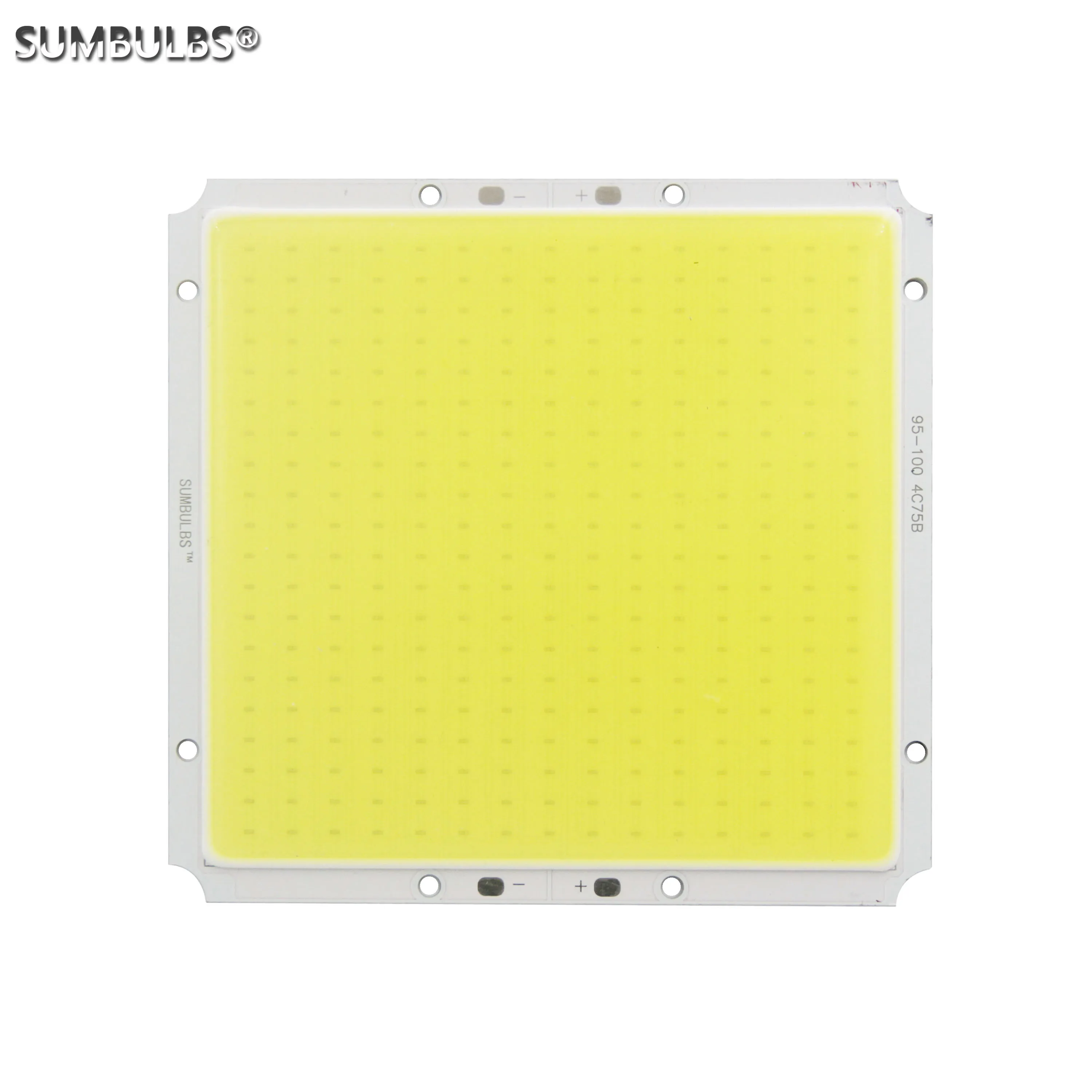 DC 12V Input 100x95MM 50W COB LED Panel Light Source for LED Lamp Warm Cold White Matrix Bulb With RF Remote Dimmer