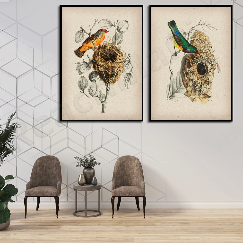 

Bird's Nest Retro Art Forest Bird Prints, Wild Animal Paintings, Woodland Animals, Retro Biological Art, Biologist Gifts