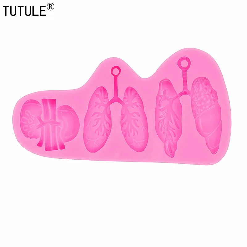 Рисунок 4 - Формы для легких