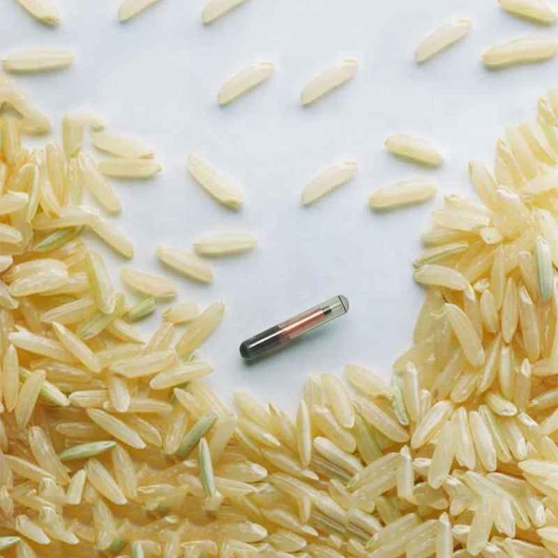 READELL 50pcs ISO11784 Pet Microchip Syringe Rfid chip implant Vet Injector Animal ID Dog Tag Mini size 1.25*7mm