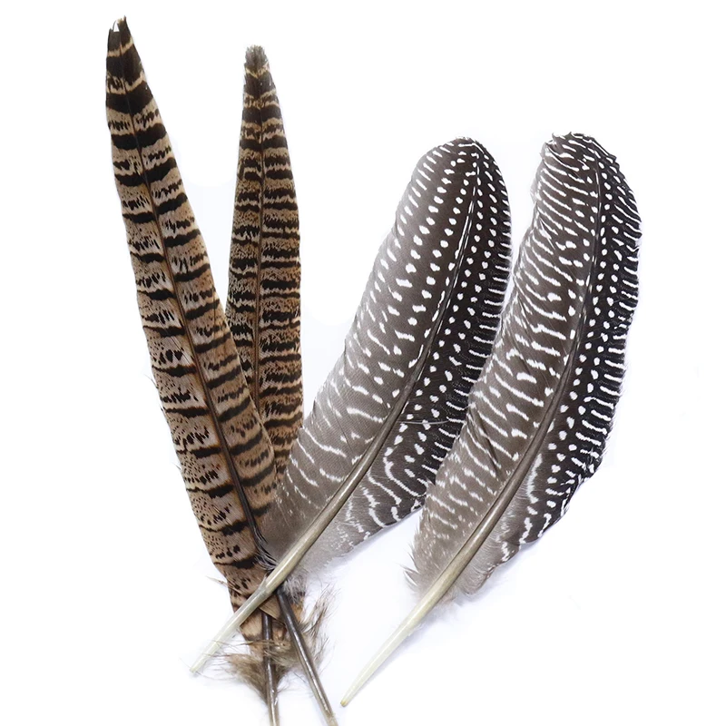 Plumas de cola de faisán y guinea para atar moscas de trucha - imagen 2