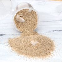 Beach Natural Seashell Starfish Sand For UV Resin Fillings Frames Jewelry Making QX2A