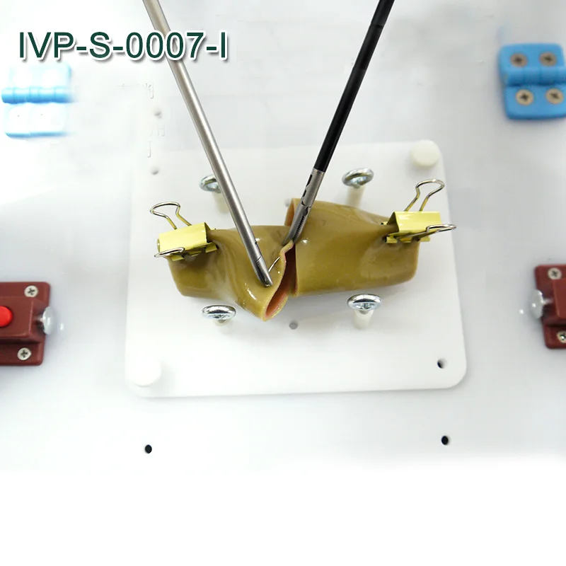 Laparoscopic Surgery Intestinal Suture Training Model with Bracket Clip Medical Practice Aids for Surgical Skills Development