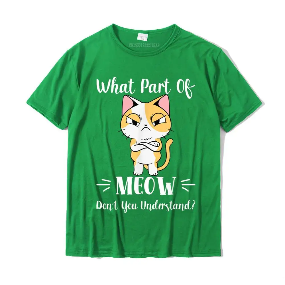 What Part Of Meow Don\'t You Understand Funny Angry Cat T-Shirt Cotton Man Tshirts Geek Tops T Shirt Funny Printed