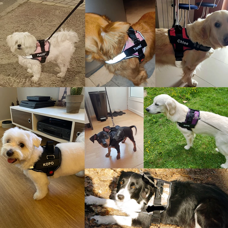 Personalized, Reflective, Breathable, NO PULL Dog Harness 5