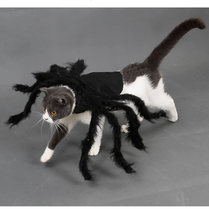 Halloween Spider Costume for Dog Cat Halloween Pet Costume Party Supply Spider Cosplay Costumes for Small Medium Dogs and Cats