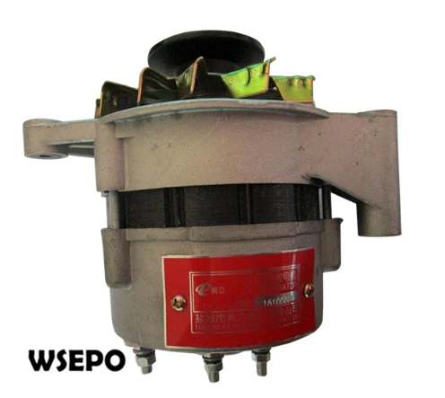 Top Quality! 2JD32 Generator fits for Jinghuai 2 Cylinder 04 Stroke Water Cooling Diesel Engine