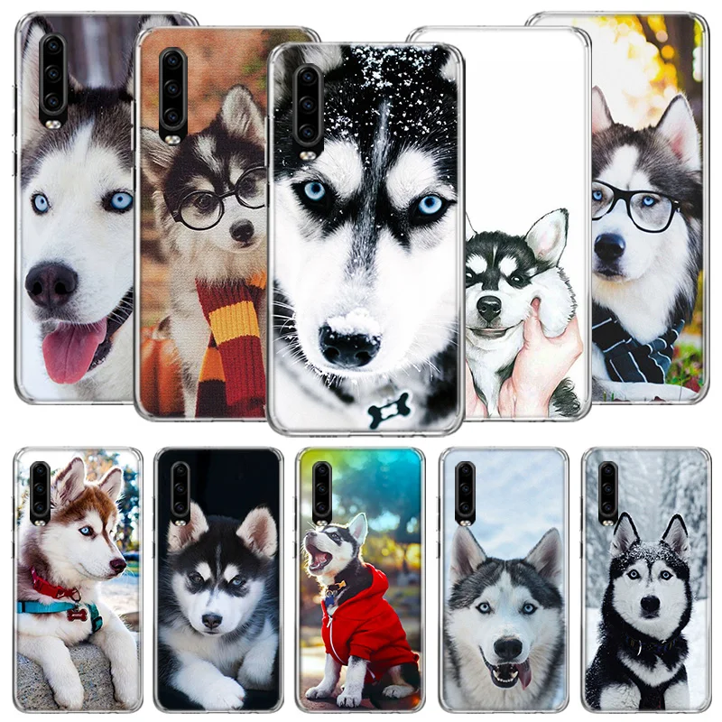 Чехол для телефона с изображением сибирской хаски сани собаки для Xiaomi Poco X4 F4 GT X3 NFC X5 X6 Pro 5G M5 M5S M4 M3 F5 Mi Note 10 Lite F3 F2 F1 Cover C Чехол для телефона с изображением сибирской хаски сани собаки для Xiaomi Poco X4 F4 GT X3 NFC X5 X6 Pro 5G M5 M5S M4 M3 F5 Mi Note 10 Lite F3 F2 F1 Cover C