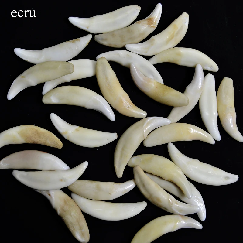 YZ002White /Ecru /Brown Natural Tooth Bone Beads Pendants Diy For Jewelry Making Fashion Jewelry Accessories 20~52mm, No Hole