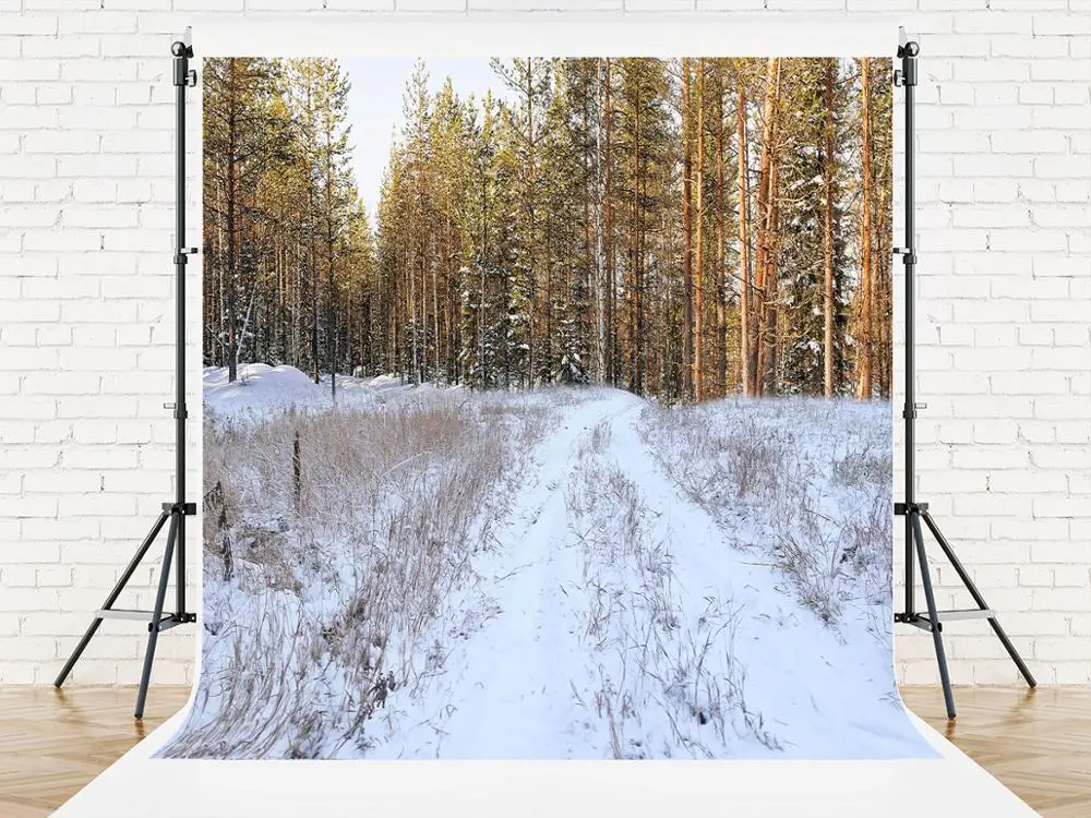 VinylBDS 10X10FT Autumn Forest Photo Backdrops Printed Backdrop Snow Background Fotografico Road Cotton Washable Foto Background