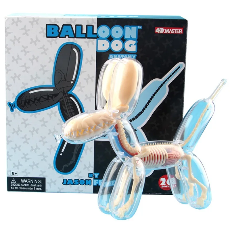 4D MASTER  Balloon Dog Model Detachable DIY Educational Equipment Anatomy Tool Transparent Animal 27810 Canine Skeleton