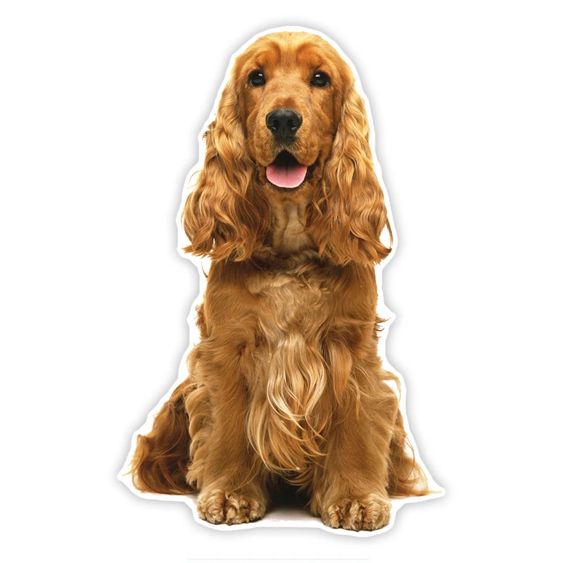 

Fuzhen Boutique Decals Exterior Accessories Cute Cocker Spaniel Colorful Car Sticker Funny Car Stickers Styling Decal PVC 17cm