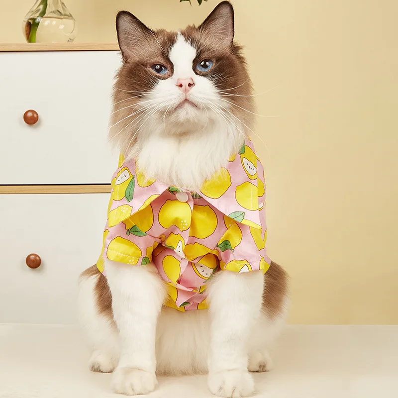 Pet Clothing Summer New Cat Clothes Cute Dog Shirt Orange Fruit Print Cardigan Pet Supplies Cat Clothes Pet  Kitten Clothes Pet