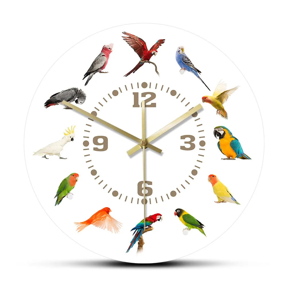 Birds Breeds Collection Modern Wall Clock Non Ticking Wall Watch Parrot Bird Pet Species Exotic Wall Art Bird Lovers Home Decor