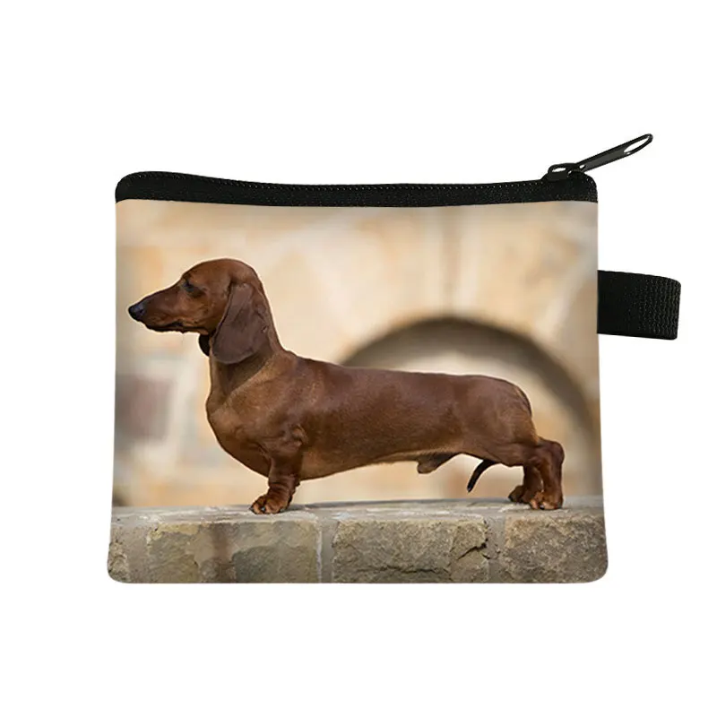 Cartoon Animal Hound Dog Children\'s Change Bag Polyester Simple Card Bag Coin Storage Bag Can Be Customized Coin Purse Mini Bag