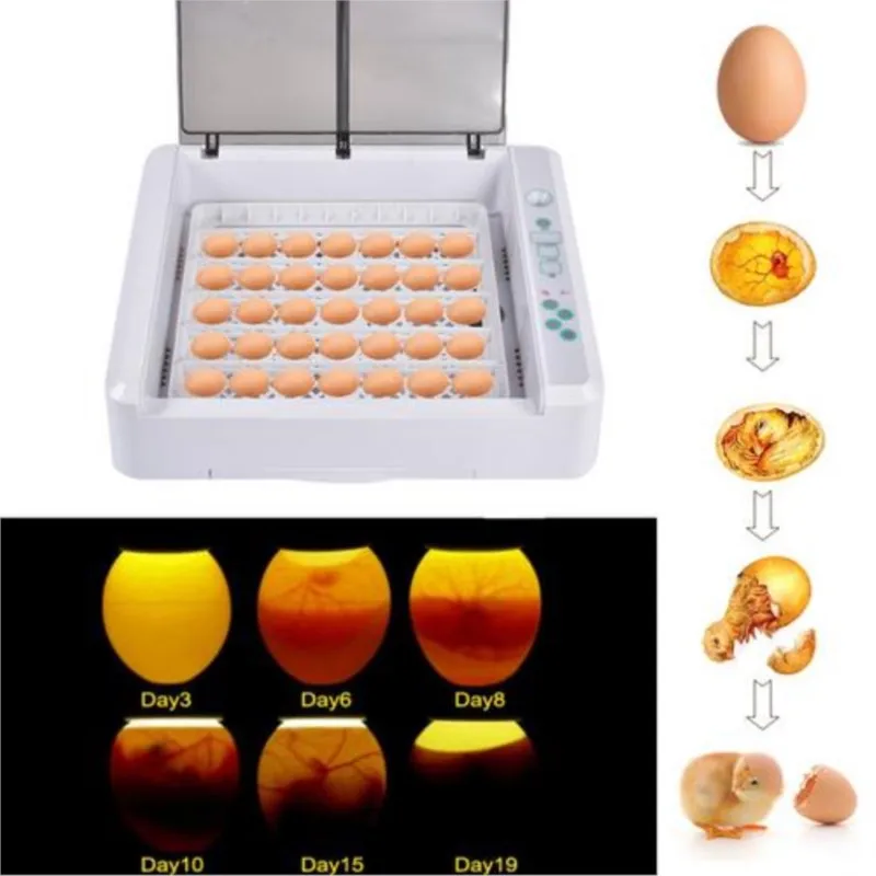 Imagem -03 - Hhd-incubadora de Ovos Incubadora Automática Completa Alta Capacidade Controle de Temperatura Incubadora de Aves Girando Fazenda 110v 220v Venda