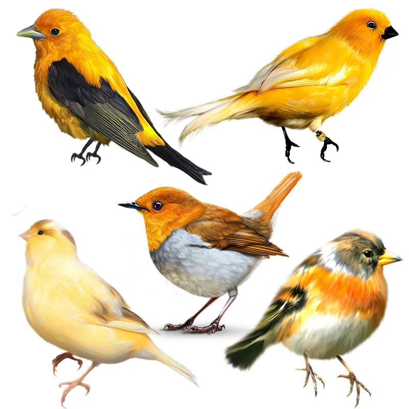 Three Ratels QCF178 Lovely tender yellow bird wall sticker for home decoration toilet Decal