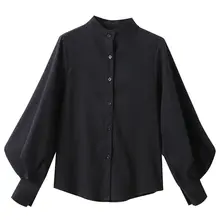Big Lantern Sleeve Women Blouse #3