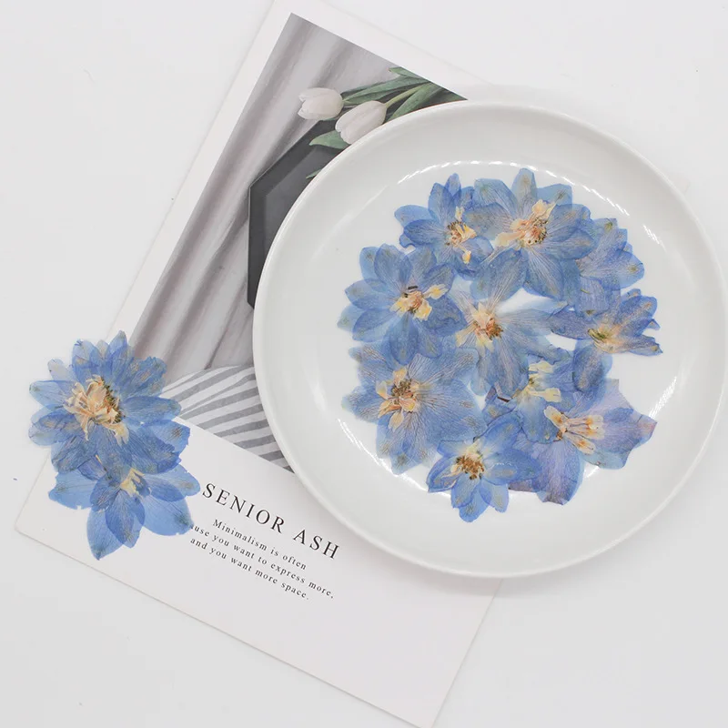 60 قطعة ضغط المجففة كبيرة 5-7 سنتيمتر Consolida Ajacis زهرة النباتات المعشبة للمجوهرات الهاتف حالة بطاقة بريدية المرجعية شمعة DIY