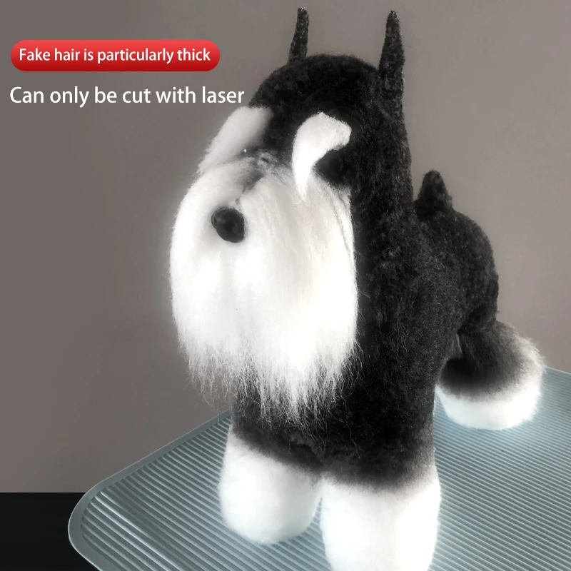 Imagem -03 - Schnauzer Simulação Falso Cabelo Pet Groomer Prática Cabelo Comprar Cinco Cabelos para Enviar Modelo Multifuncional Falso Cão Esqueleto Novo