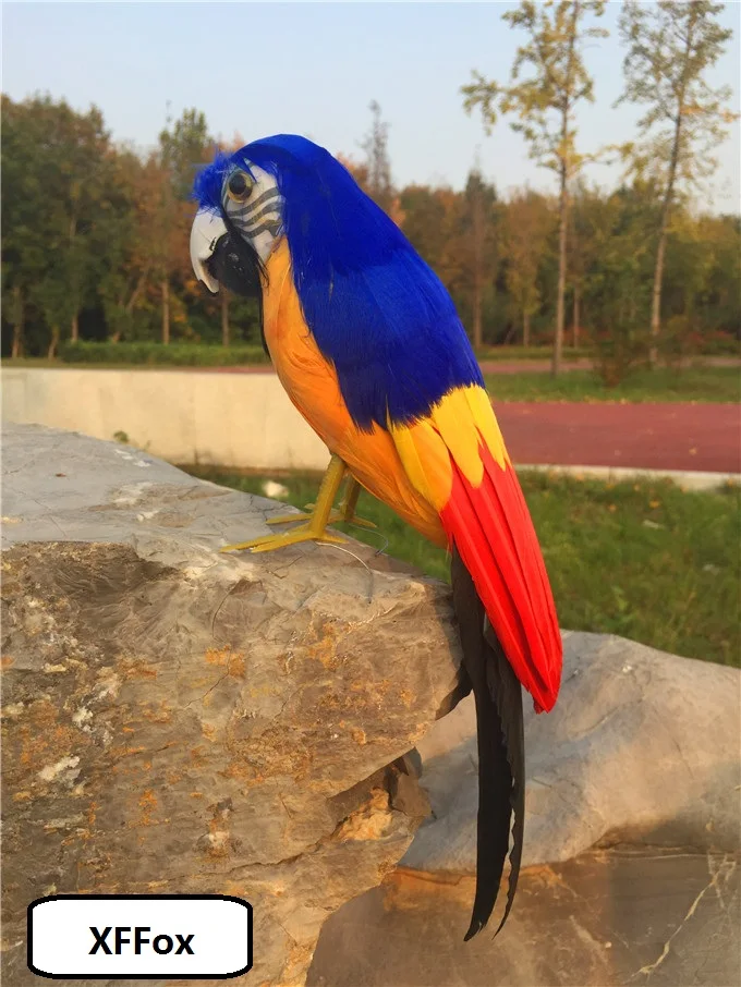 new real life dark blue&orange parrot model foam&feather black tail bird gift about 30cm xf2587