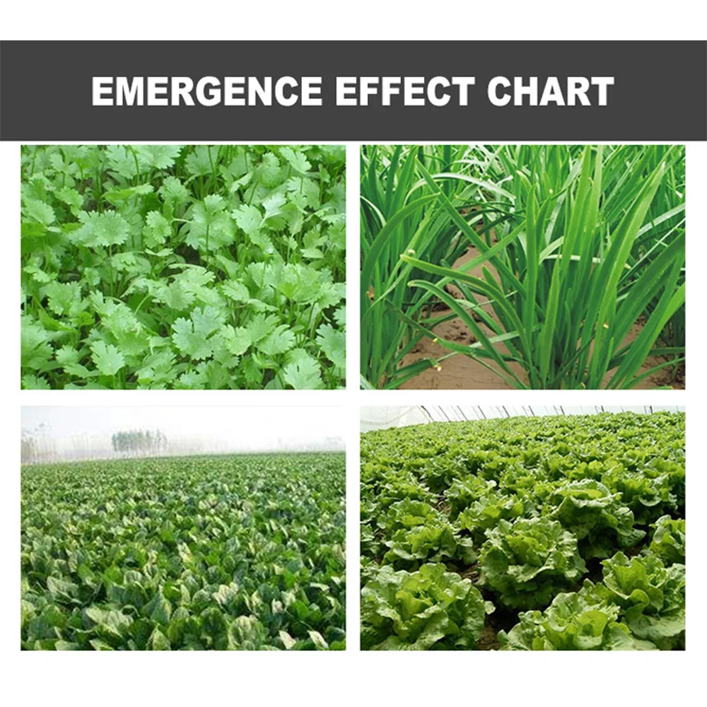 1 & 3 خطوط مزارع الخضروات دفع زارع صغيرة ودقة نقطة زارع متعددة الوظائف قطاع البذر معدات للزراعة