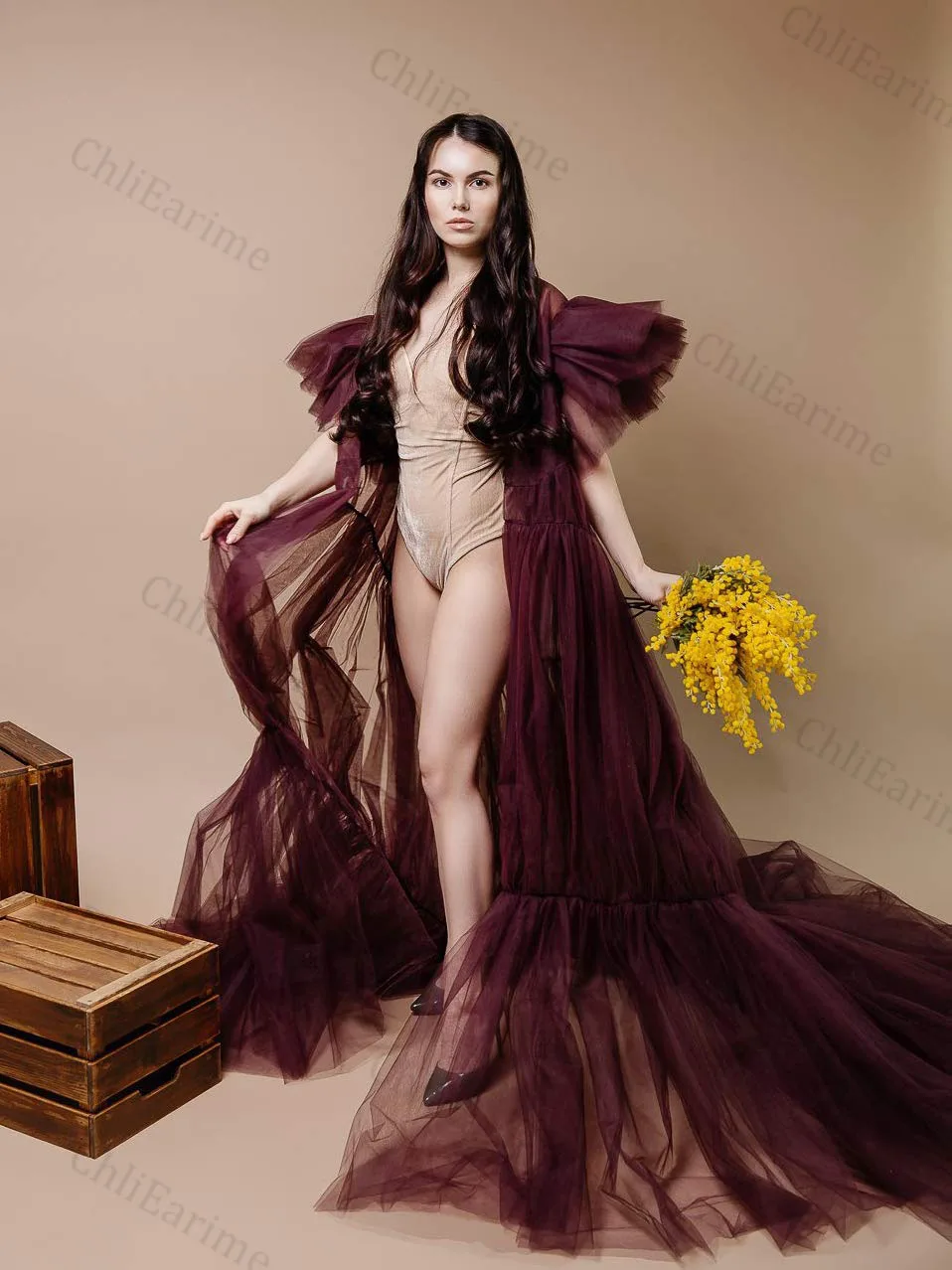 Ladies V-neck sexy elegant tulle maternity photography robe dress