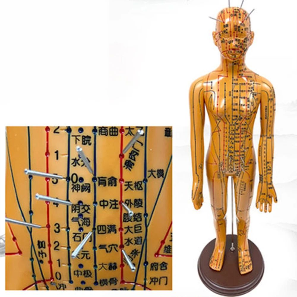 Meridianos de Medicina China médica, modelo de moxibustión de acupuntura, maniquí de punto de acupuntura, envío más rápido, 52cm