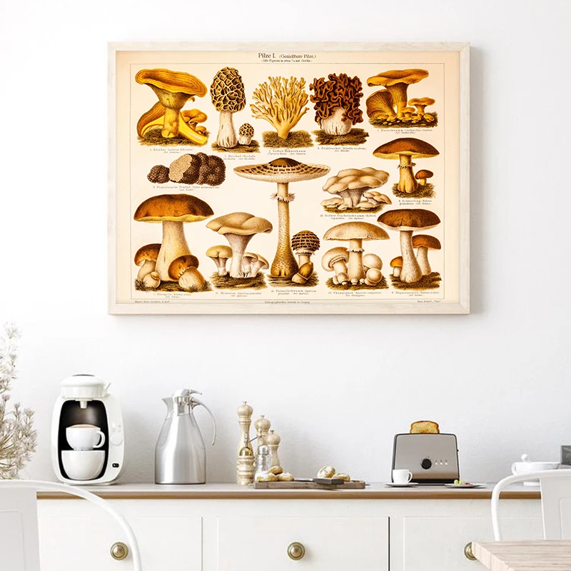 German Version Vintage Mushroom Print 1800s Antique Mushrooms Illustration Poster Retro Botanical Wall Art Canvas Painting Decor
