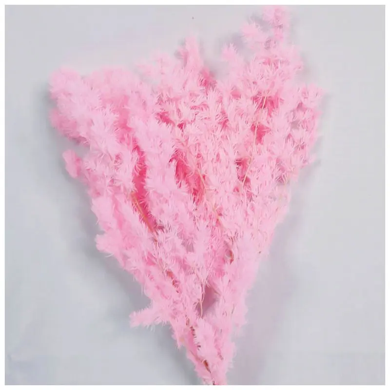 Natural Decorative Colorful Penglai Song Preserved Flowers Asparagus Myriocladus Bouquet For Home Decor Christmas Dekoration