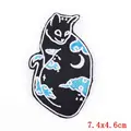 PE4796CT