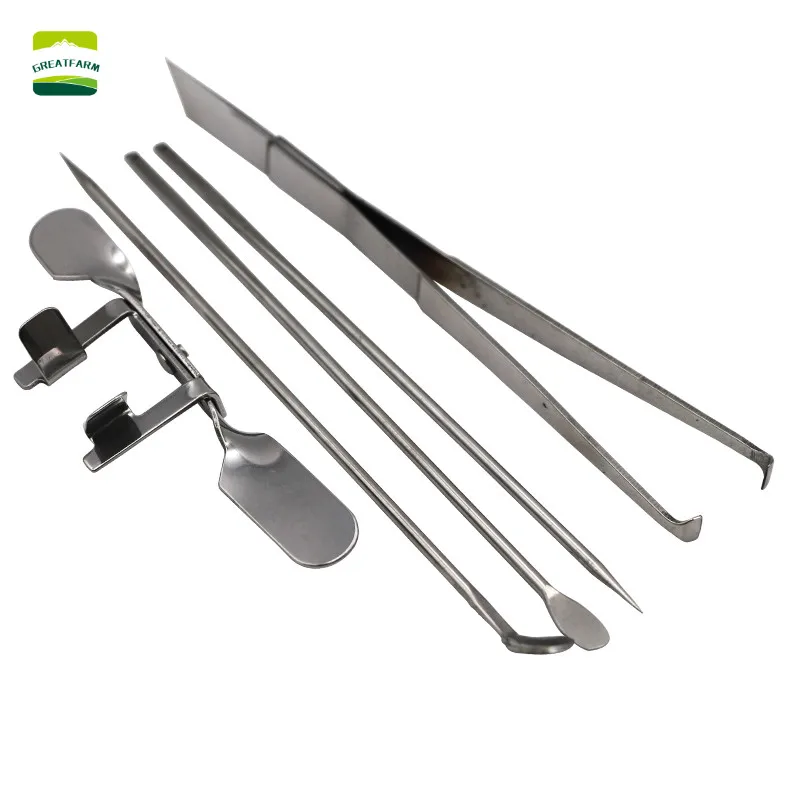 Chicken Castration Tool Stainless Steel Large Chicken Baby Chick Castration Cock Rooster Five-Piece Set Poultry Farm Tools New