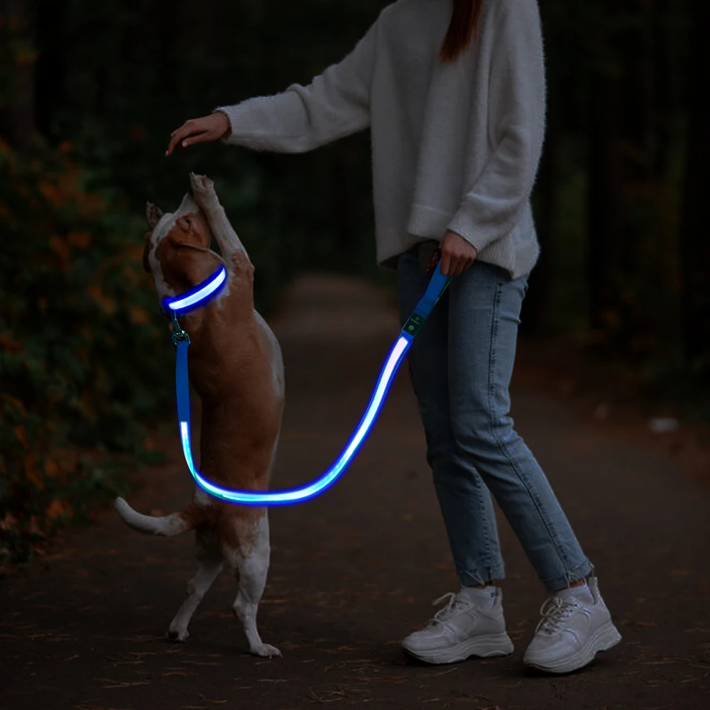 MASBRILL LED Dog Leash USB Rechargeable Pet Leash Reflective Nylon Mesh Soft Padded Walking Training Visible & Safe water proof