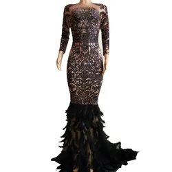 Sparkly Rhinestones Feather Trumpet Dress Women Sexy Nightclub Black Long Dress Prom Costumes Birthday Celebrate Party Dresses