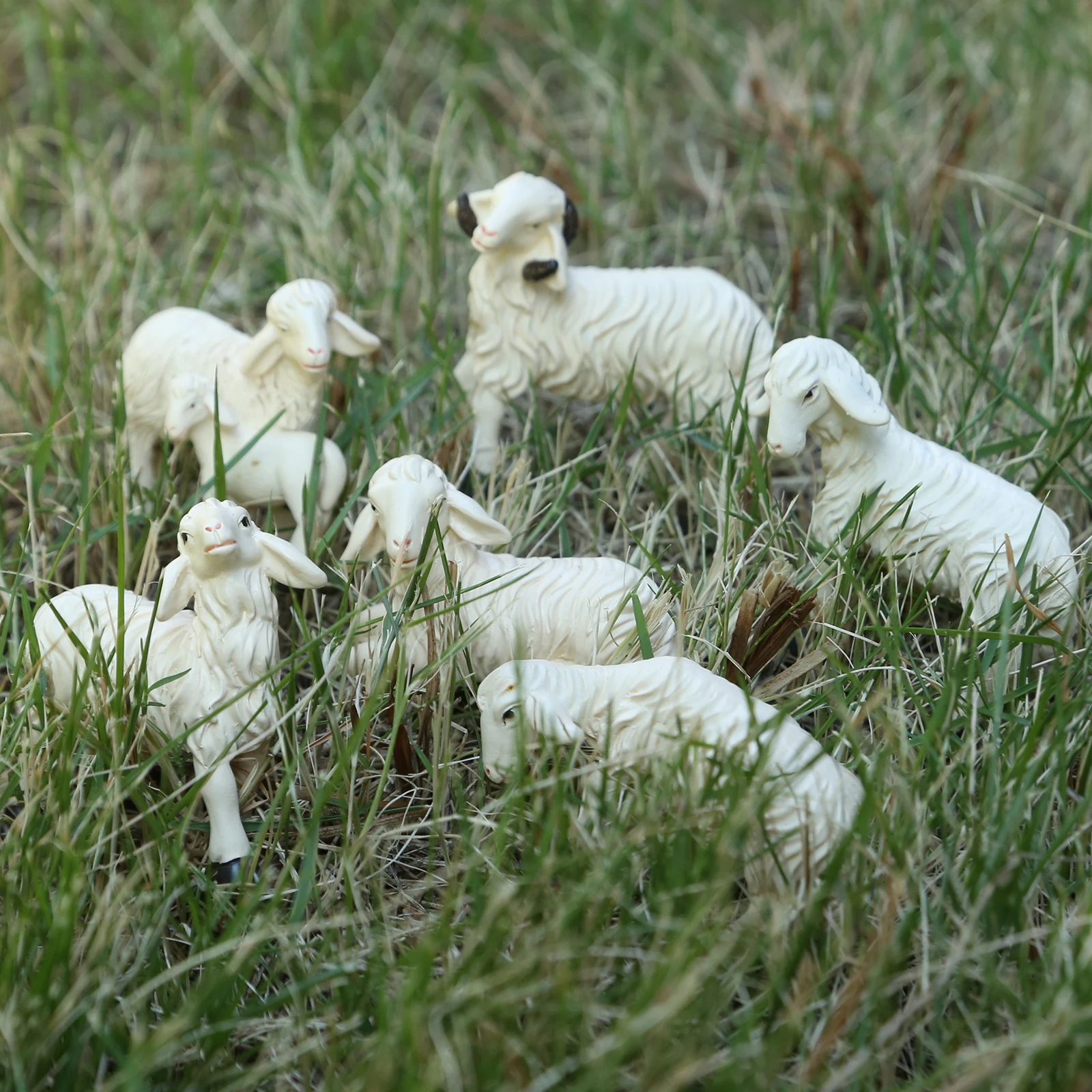 6Pce Animal Sheep Figurine Dollhouse Miniature Ornaments Statue Lamb Toys Fairy Garden Home Decor Terrarium Statues Accessories