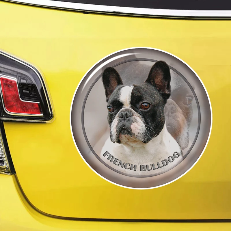 

S62171# French Bulldog Self-adhesive Decal Car Sticker Waterproof Auto Decors on Bumper Rear Window Laptop Choose Size