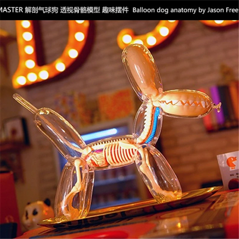 Balloon Dog 4d Master Artist Jason Freeny Assembled Transparent Perspective Bone Anatomical Model