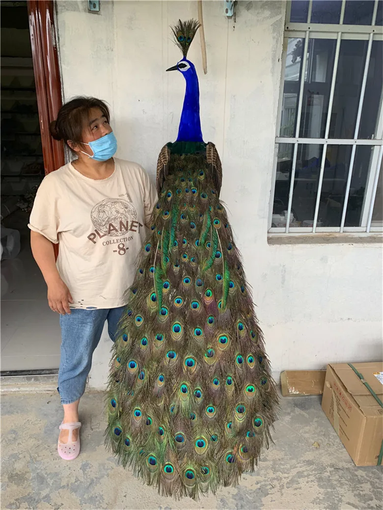 big real life beautiful peacock model foam&feather long tail colorful peacock bird gift about 150cm xf3009