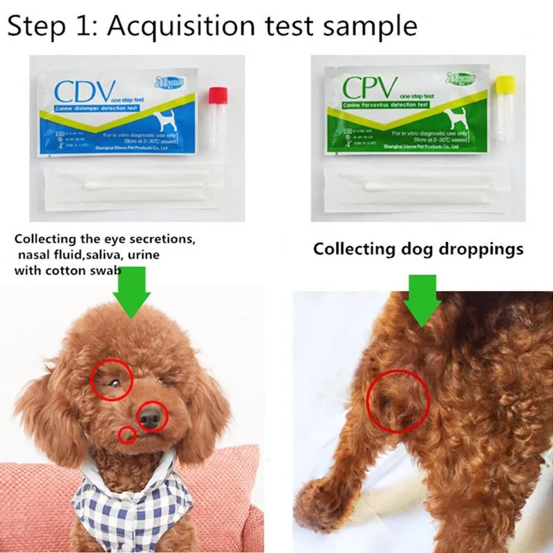 Canine Dog Distemper Virus CDV/CPV Home Nasal Swab Health Test Paper xqmg Dog Accessories Supplies Pet Products Home Garden 2021