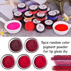 5pcs Random Color DIY Lip Gloss Powder Material 1g Lipstick Pigment For DIY Makeup Powder Pigment Make Comestics Tools