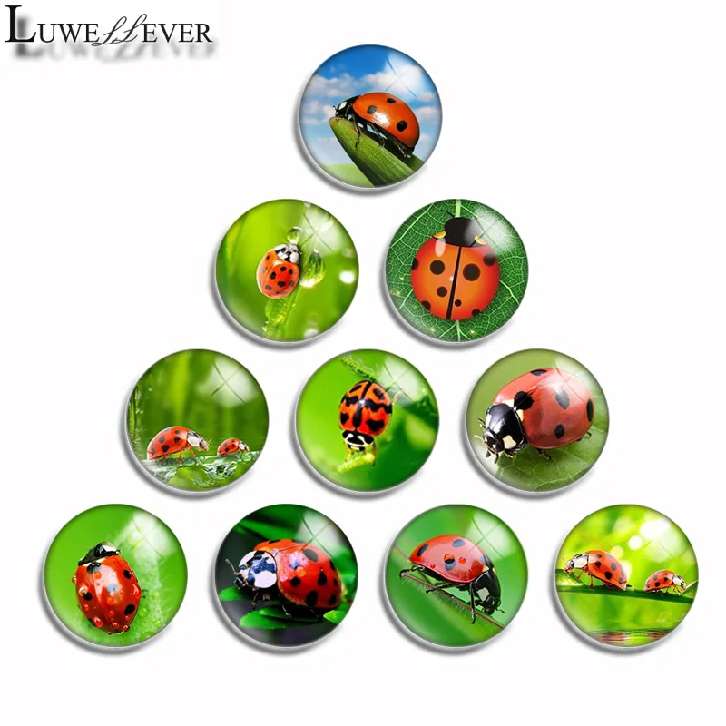 12mm 10mm 16mm 20mm 25mm 30mm 510 Cute Ladybug Mix Round Glass Cabochon Jewelry Finding 18mm Snap Button Charm Bracelet