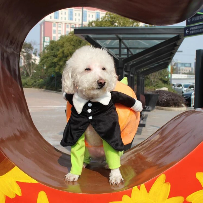 Pet Party Costume Dog Costumes Halloween Pumpkin Pet Coat Small Dog Super Cute Costumes Fancy Pet Funny Christmas Clothes