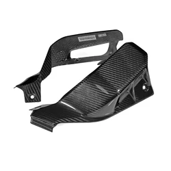 Motorcycle Carbon Fiber Radiator Side Cover Fairing Protector for DUCATI Scrambler 800 2019