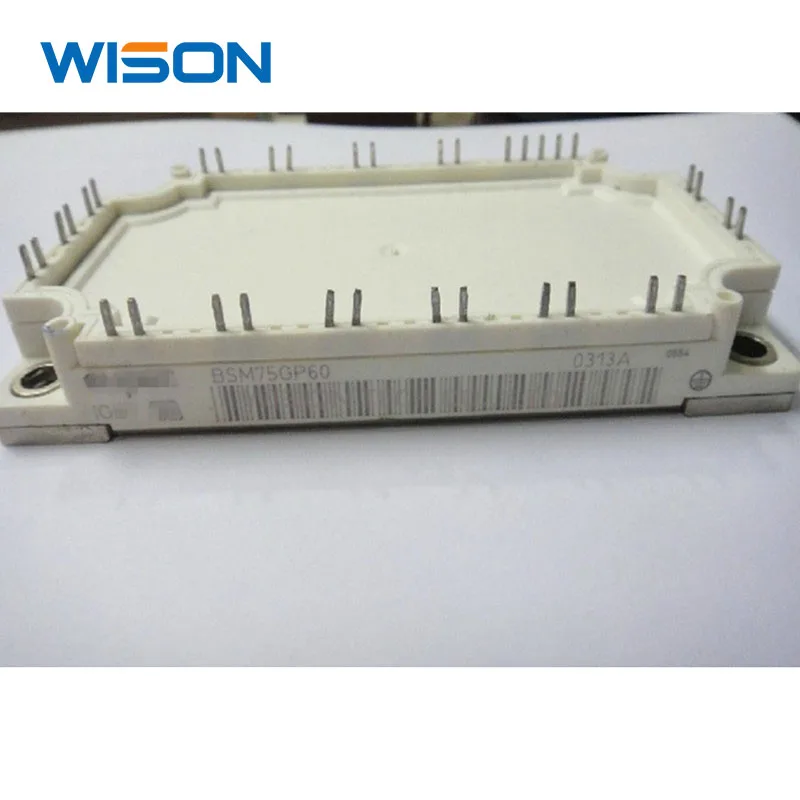 BSM10GP60 15GP60 BSM20GP60 30GP60 BSM50GP60 BSM50GP120 BSM25GP120 BSM35GP120 BSM75GP60 BSM100GP60 BSM15GP120 وحدة